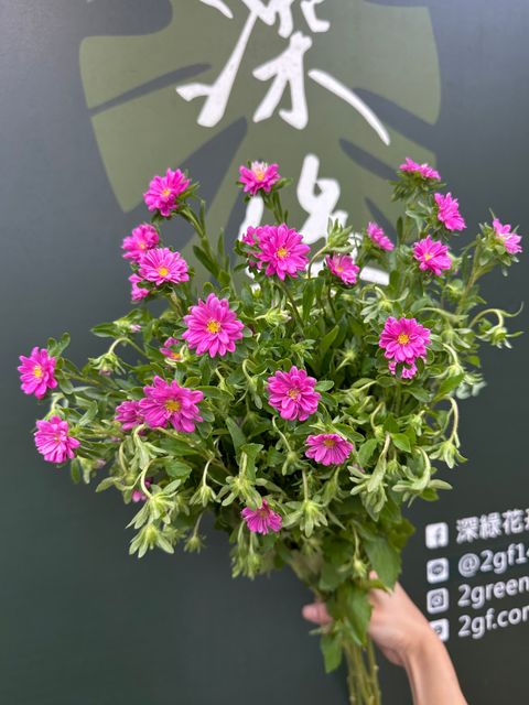 image_F01A19D8-4B97-4777-80C5-76AA1111BEE8_1780376617