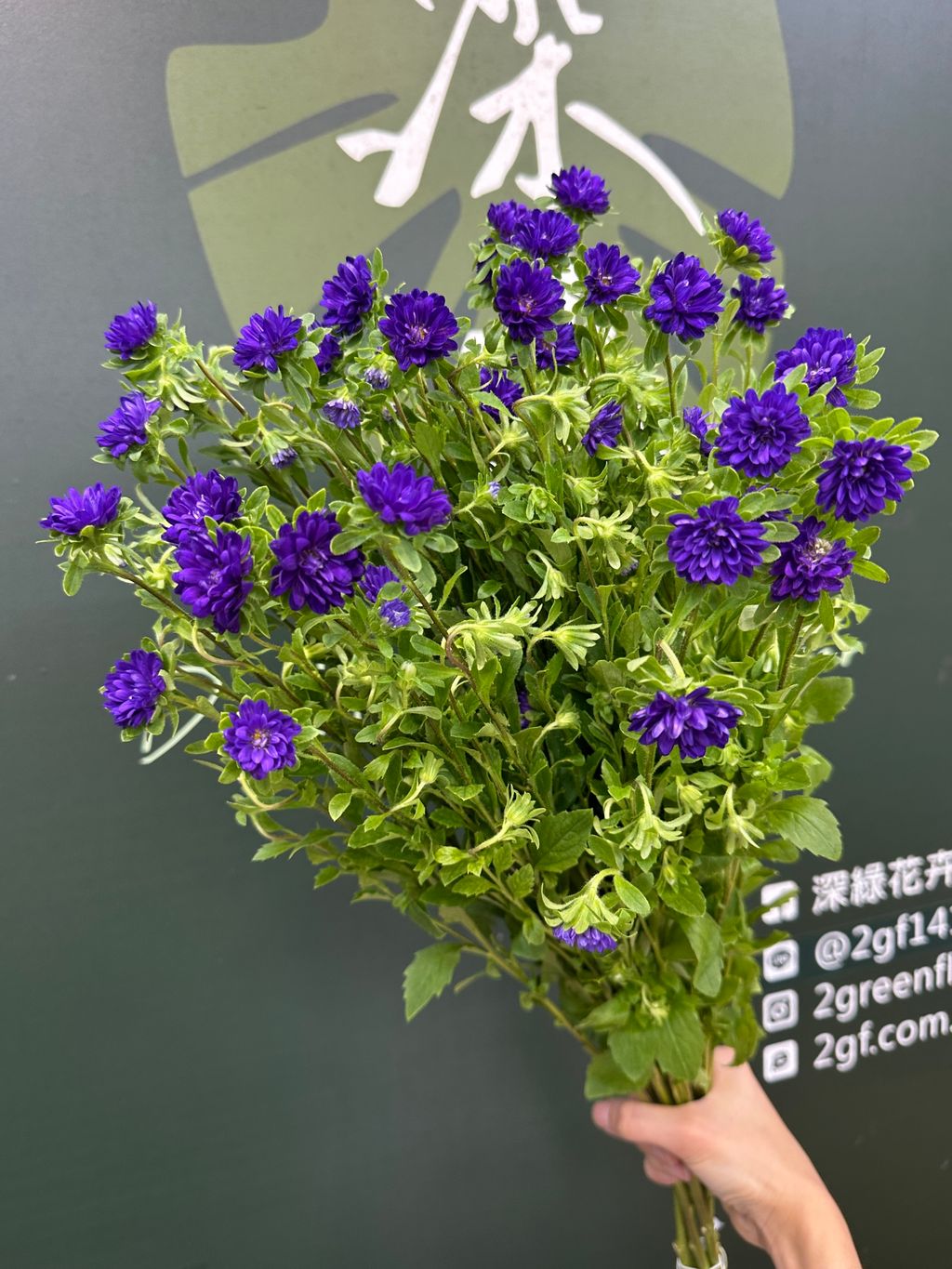 image_EF436CCF-BEE6-403C-B1B3-018EDB124953_1780376632
