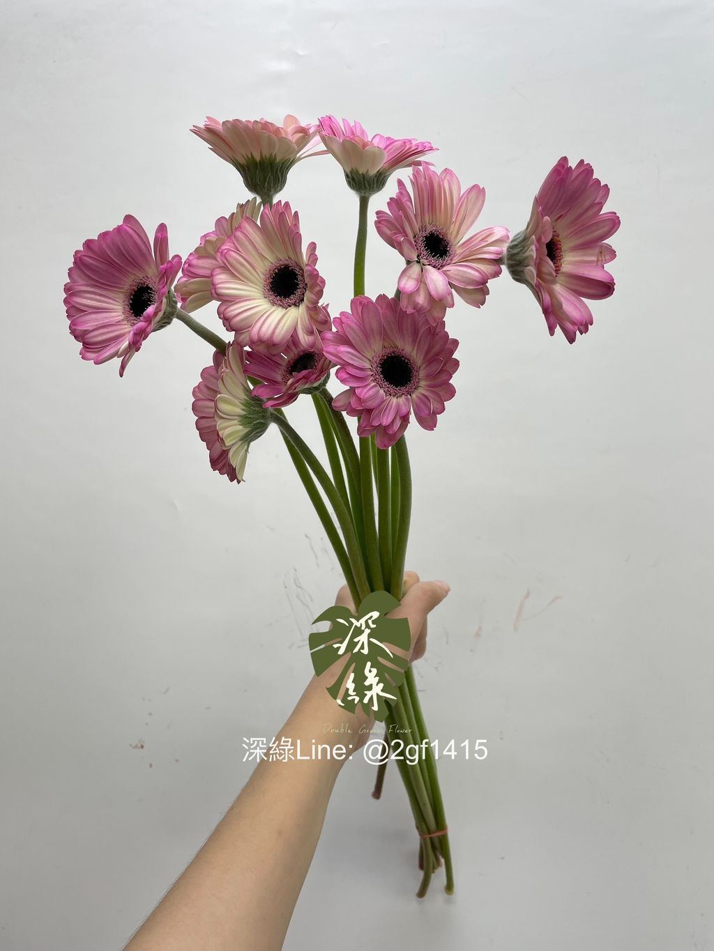 eZy Watermark_18-02-2025_10-59-07-6630上午-1739847760812