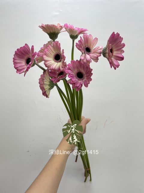 eZy Watermark_18-02-2025_10-59-07-6630上午-1739847760812