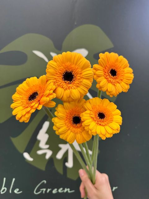 messageImage_1780472521969
