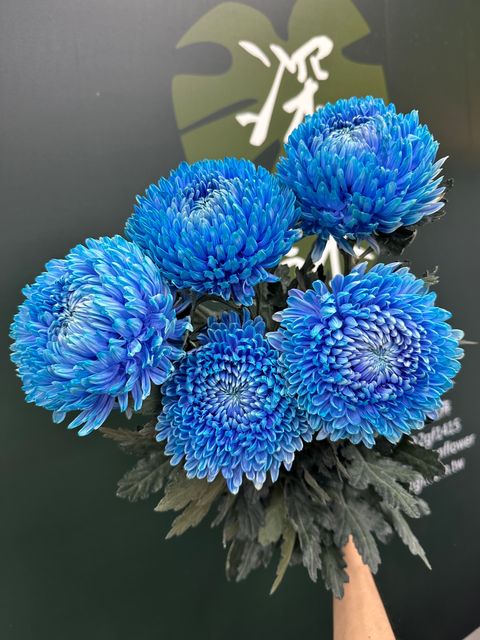 image_B0E7EBFE-7C6F-41D2-B1DD-1981D6C736F1_1780474460