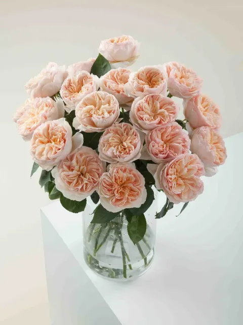 messageImage_1780517131588