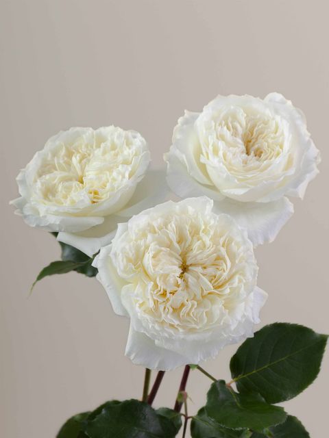 messageImage_1780517816039
