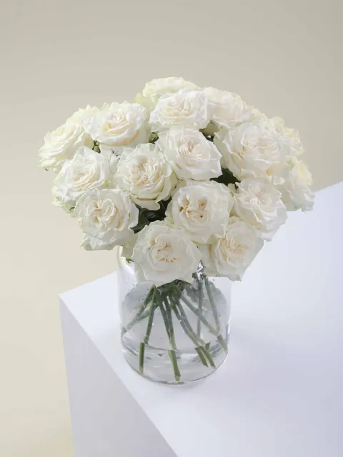 messageImage_1780518240210