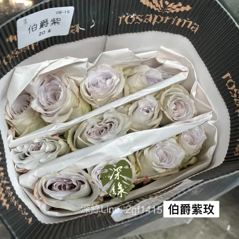 64DB9491-D506-4392-9360-1DCC255FD37E