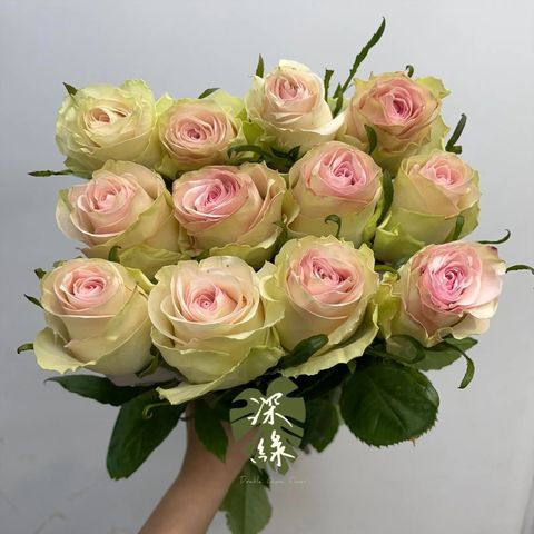 messageImage_1780519610391