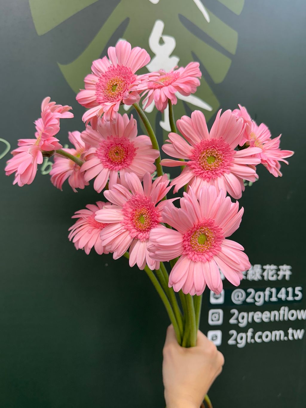 image_A76AB6EC-393B-4F89-B20D-11D849F78EC2_1780982947
