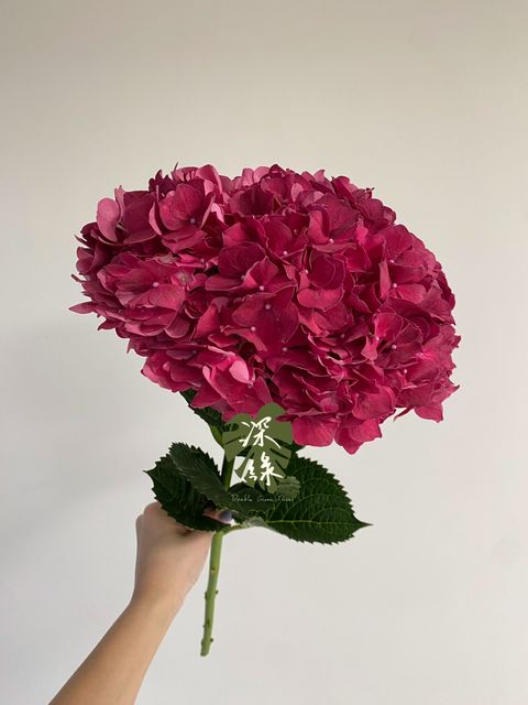 S__52158479_0