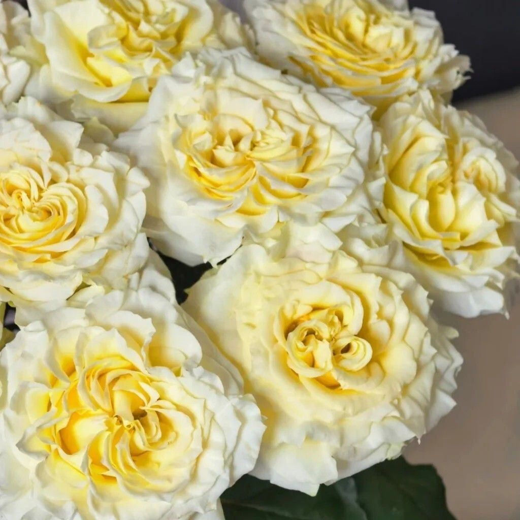 messageImage_1781245922850