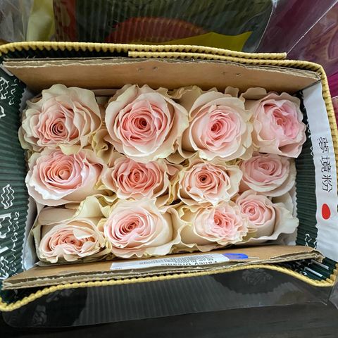 messageImage_1781405416155