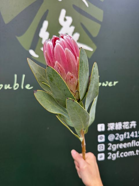 image_D628E729-7BAB-42C4-A362-2826F0C2E0DE_1780994563