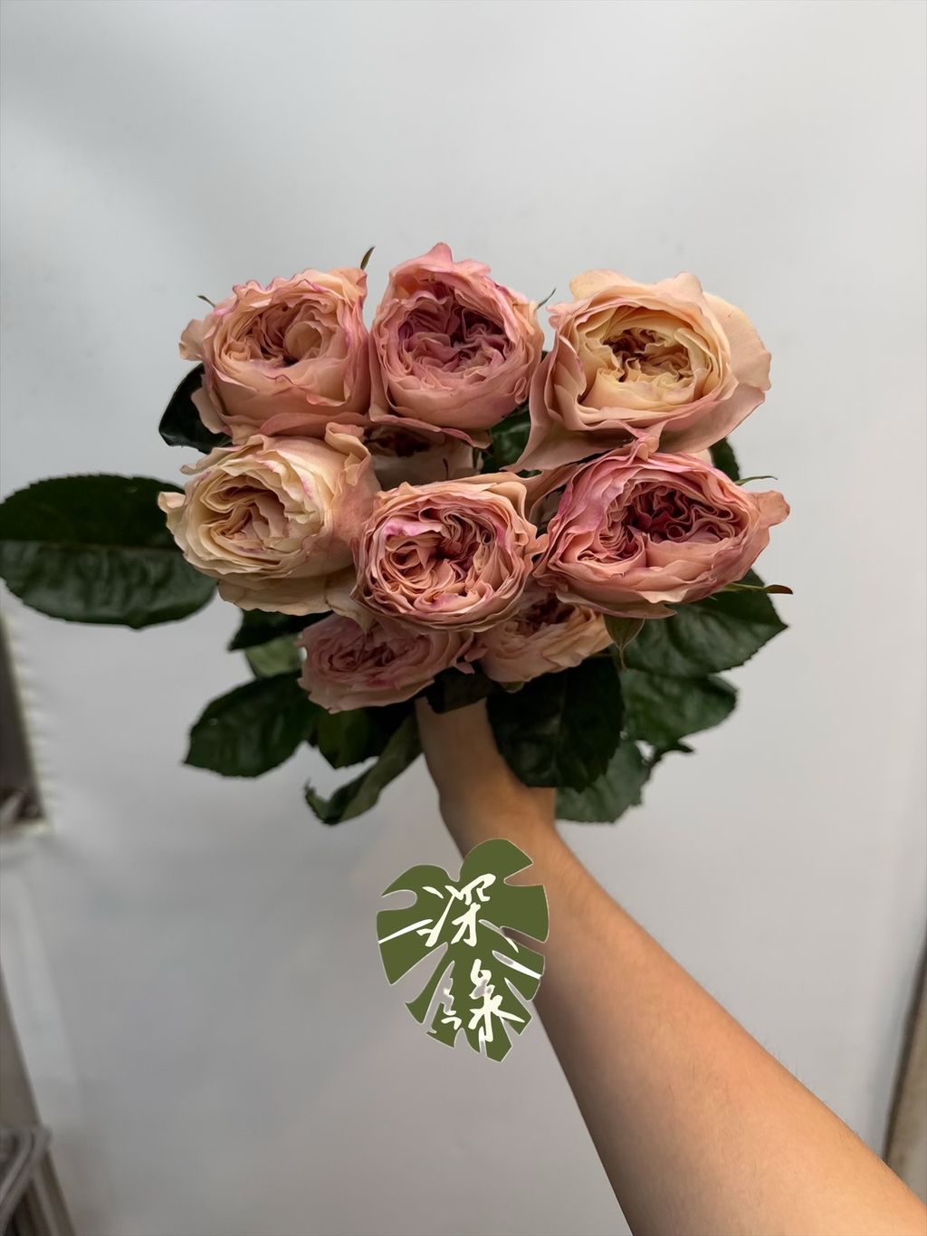 image_D6B733EB-925B-4001-95E2-2330A26CDDF5_1781587966