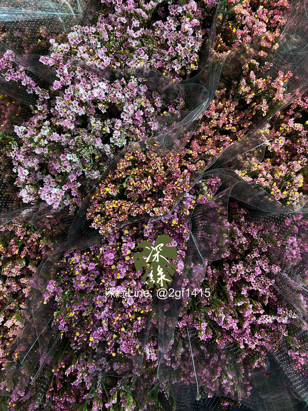 image_FA899AA8-C4D4-4839-8A34-45A8AA80DC6F_1781749628
