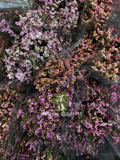 image_FA899AA8-C4D4-4839-8A34-45A8AA80DC6F_1781749628