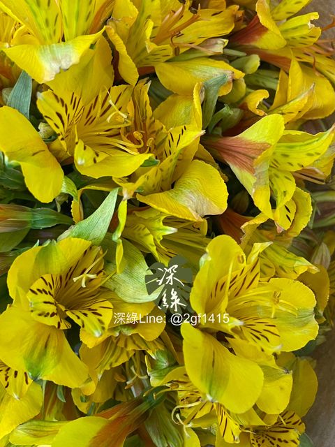 image_53FEF5A2-D147-43CE-BA98-BBD785A0D472_1781749874