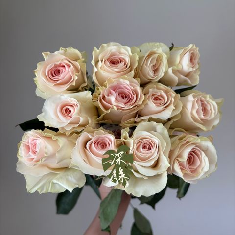 image_18E9A6EC-F0D5-4B42-B796-4FEB9EBCEBD9_1782110572