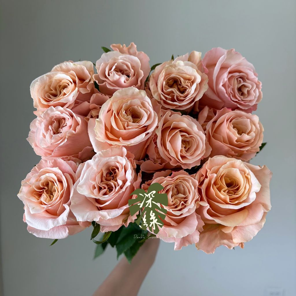 image_9799806D-1555-4CE3-AE8C-EDE2FDA90365_1782110624