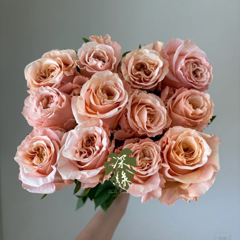 image_9799806D-1555-4CE3-AE8C-EDE2FDA90365_1782110624