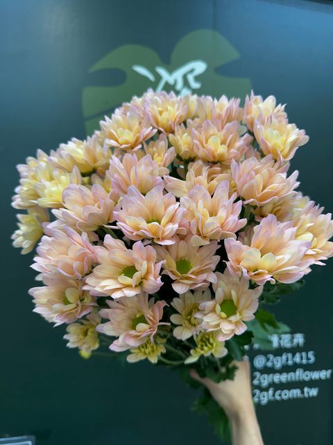 image_3AF3EB3C-DB90-4509-96EB-F20531ED719B_1782111755