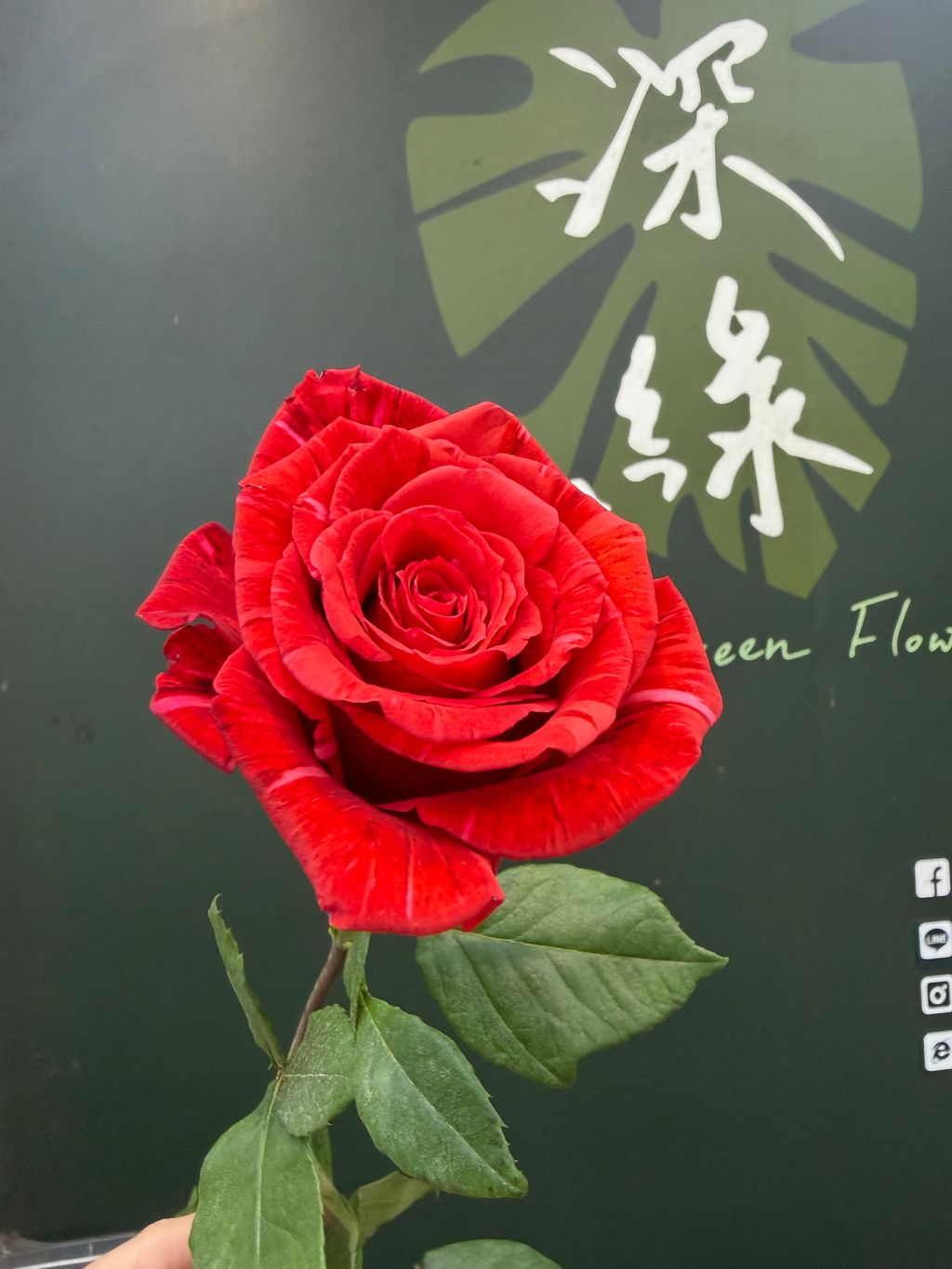 image_3627C637-389E-43EF-8F59-08CB4238CC6F_1782175494