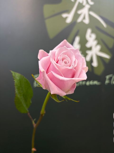 image_E6571570-E704-4420-AA12-D1D205FE1FAC_1782176089