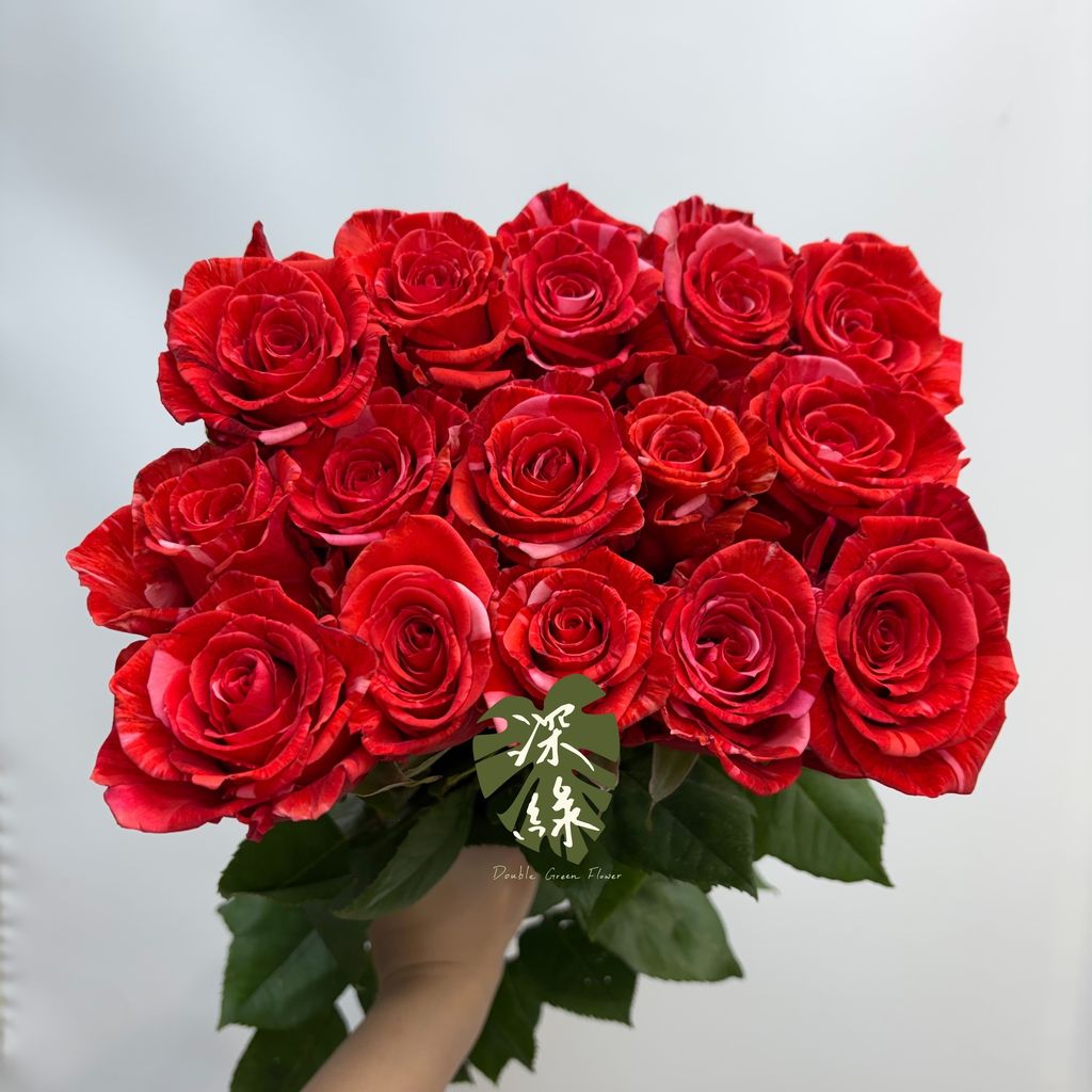 image_2C6B97BB-F70D-4810-B15F-992E3734356E_1782176636