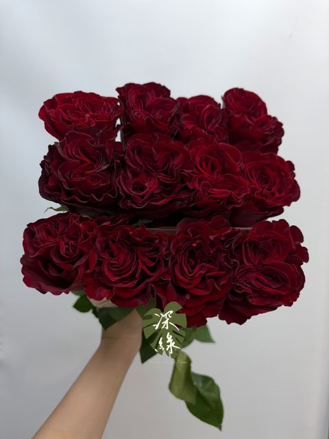 image_7C881D22-5D62-4A2F-86E3-C02EA6BE07EC_1782176680