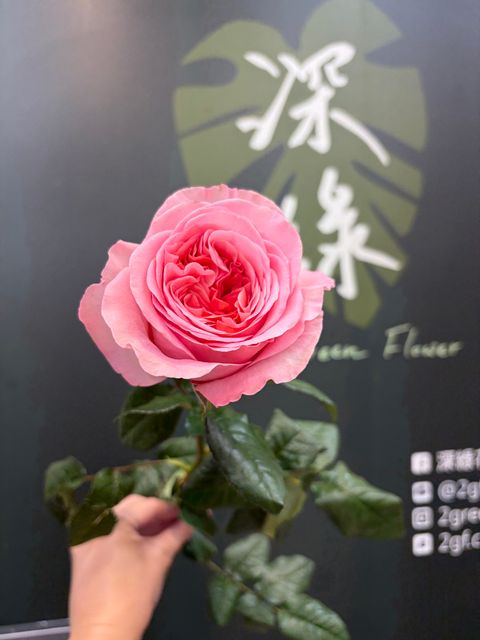 image_A4CB8BE0-56AC-450F-A997-D997986277BD_1782177819