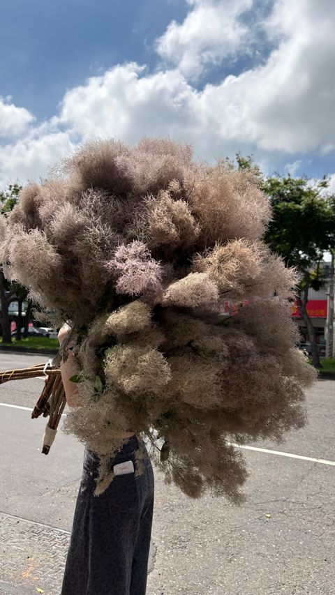 image_6F3E0DDF-BF1E-4CEC-B460-09B669742A6E_1782181054