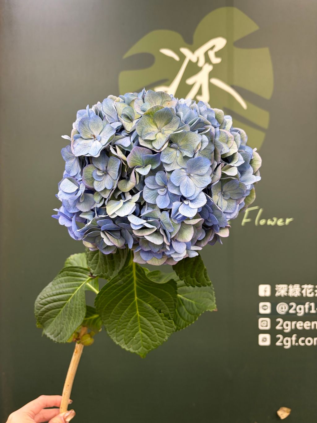 image_A23926C8-A516-4E4E-ABAA-81F34AC7AC22_1782184677