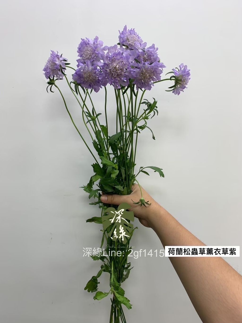 image_A53658CA-3E55-41D1-B599-1CB3262D80BB_1762060455