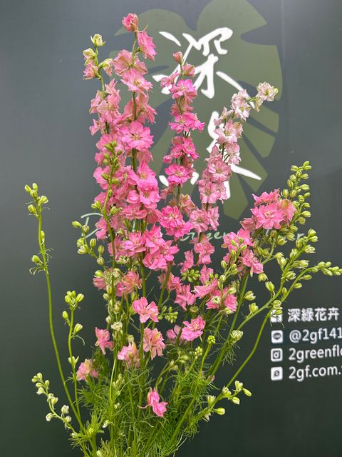 image_830DCB3B-1538-419E-B94F-8A5E9FC9358C_1782706900