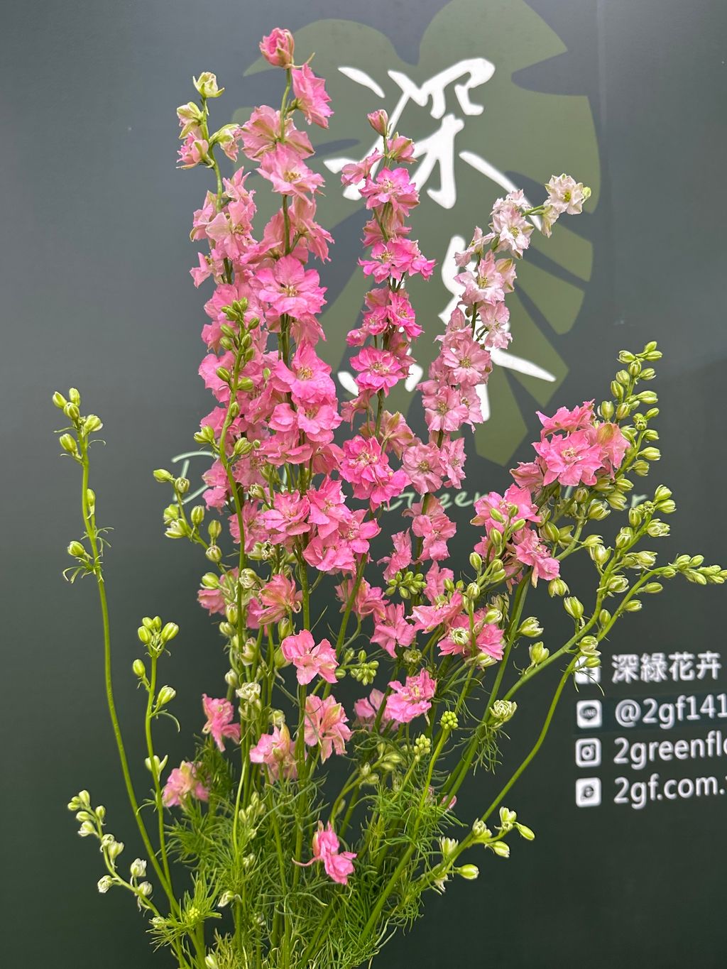 image_830DCB3B-1538-419E-B94F-8A5E9FC9358C_1782706900