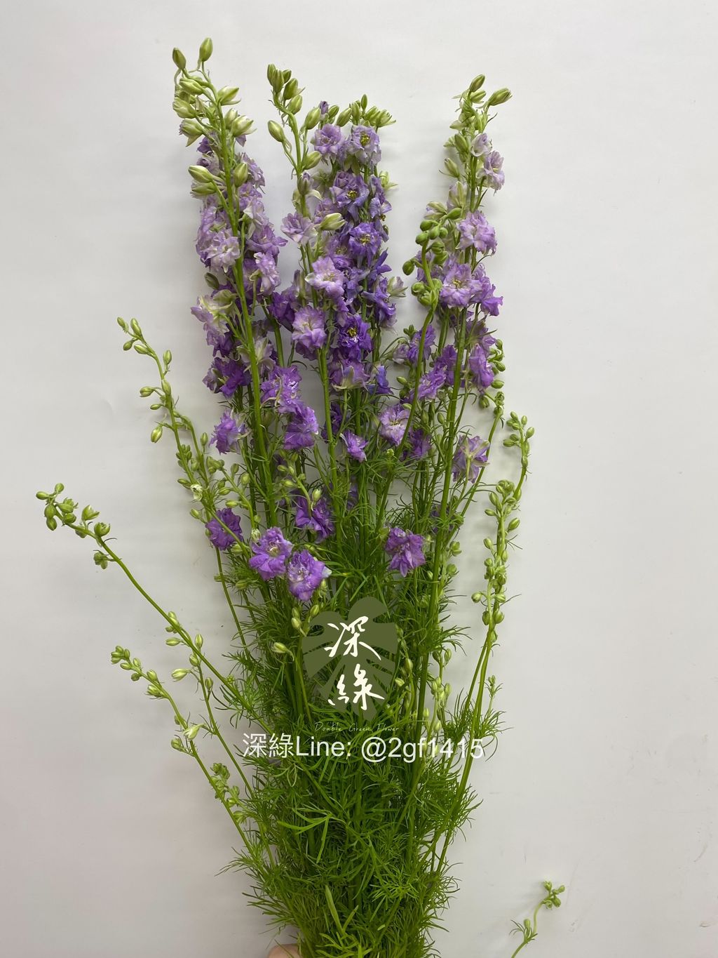eZy Watermark_02-09-2024_01-09-50-9280下午-1725254077274