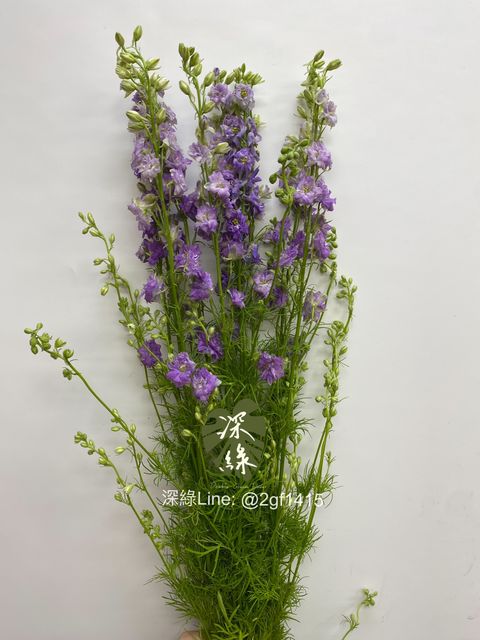 eZy Watermark_02-09-2024_01-09-50-9280下午-1725254077274