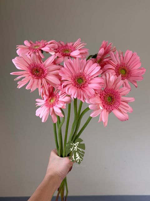 image_48DCB4D6-F772-49D6-844A-D9AA6EBBB364_1782721922