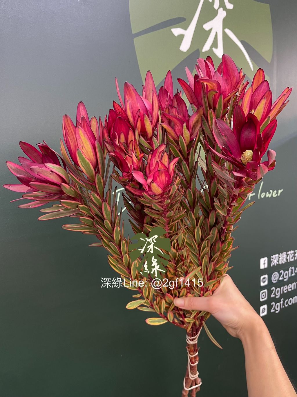 image_3092956F-E90A-4678-8FAB-49520EC3A076_1782790679