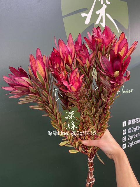 image_3092956F-E90A-4678-8FAB-49520EC3A076_1782790679