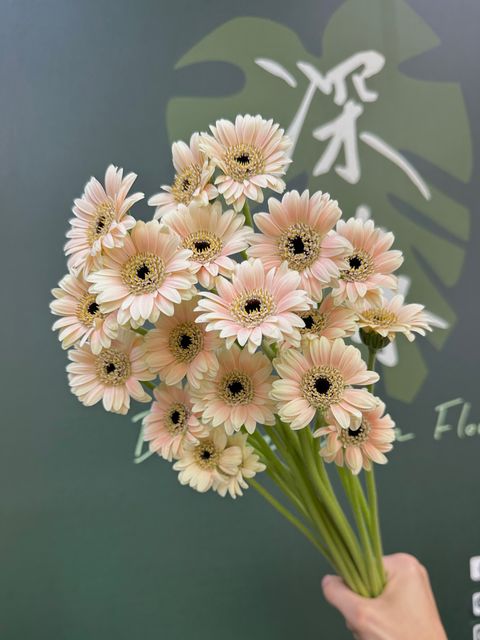image_26DB3C3D-2BBB-4F4C-95D8-C0824E750AA7_1782793258
