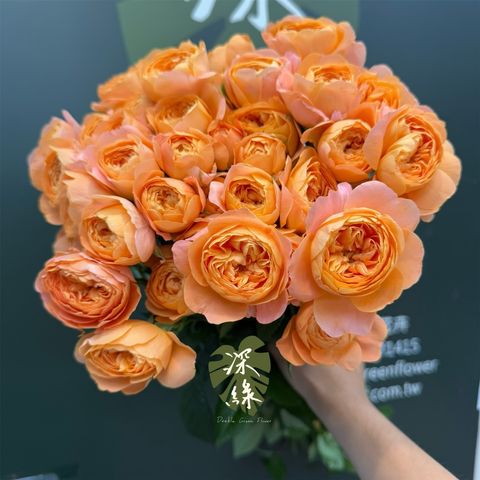 S__41934900_0