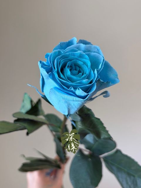 S__53280781_0