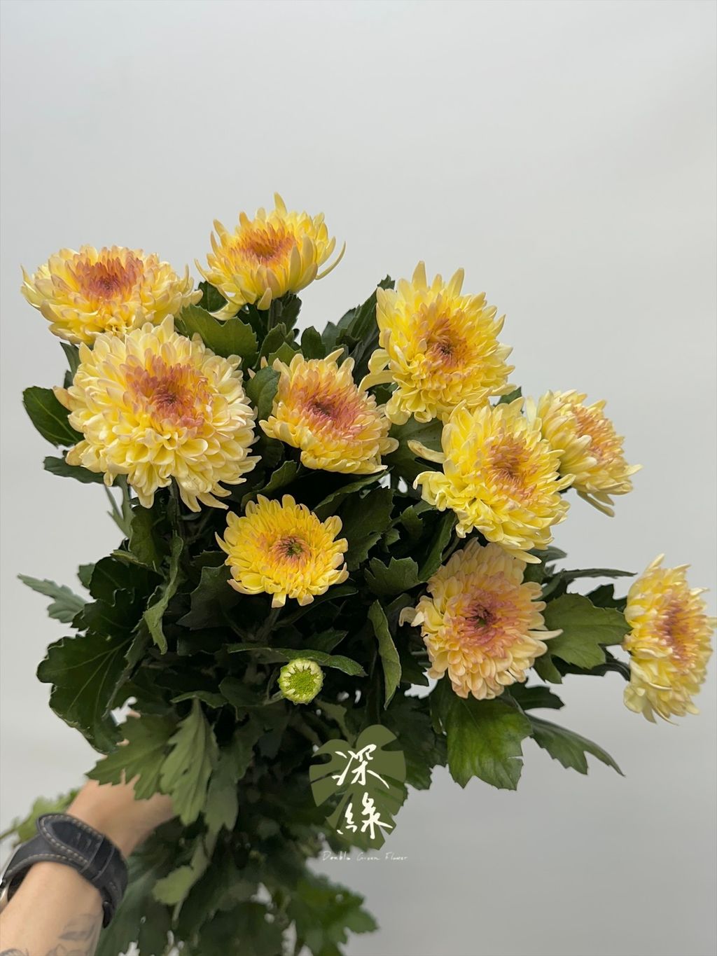 image_AB8CF59F-0812-4D3D-BC1C-0912E60235E3_1782867007