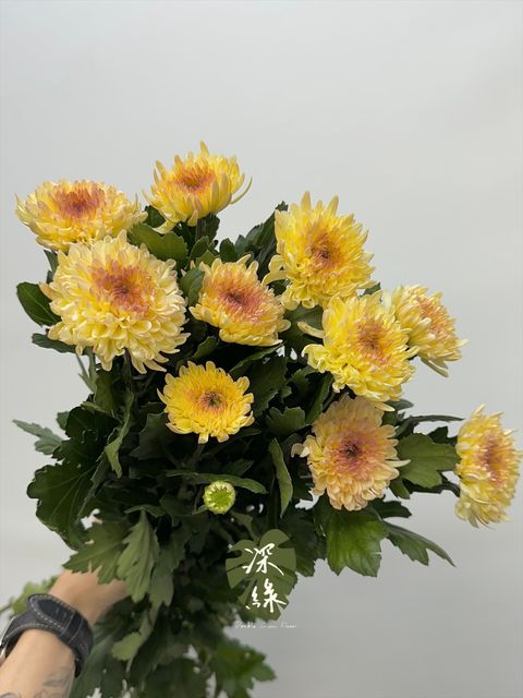 image_AB8CF59F-0812-4D3D-BC1C-0912E60235E3_1782867007