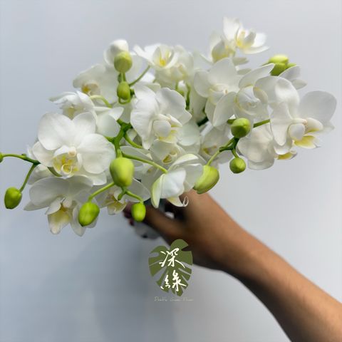 image_DD861B2C-0735-4A6B-AC83-391205BDA1D3_1782869900