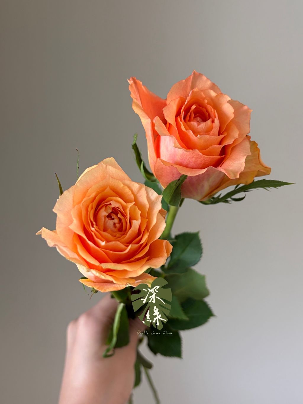 S__53428256_0