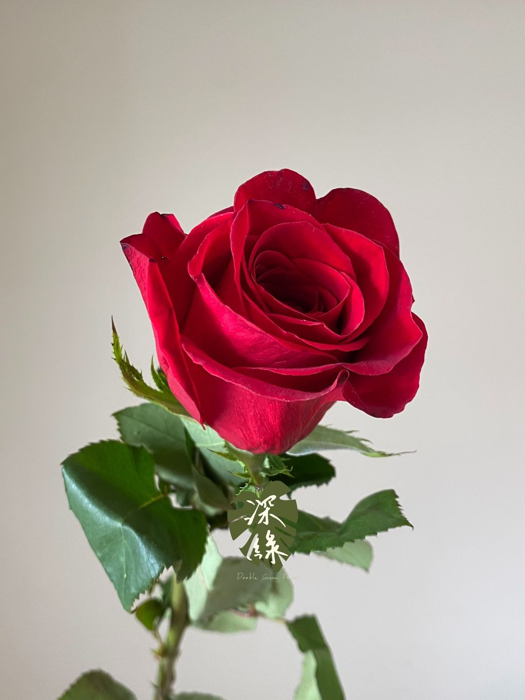 S__53428250_0