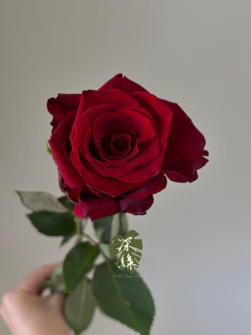S__53428251_0
