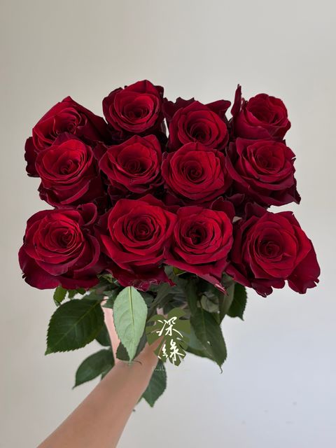 S__53428252_0