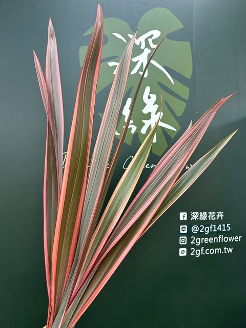 image_80B921EA-7A6F-4434-9DDB-CCD4CBE41978_1783211793